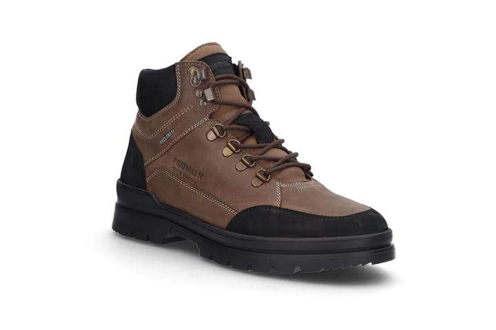 SOFTWALK 2464 BROWN SOFTWALK SOFTWALK 2464 BROWN SOFTWALK