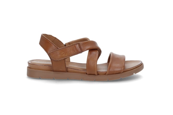 SOFTWALK 1461 BROWN SOFTWALK