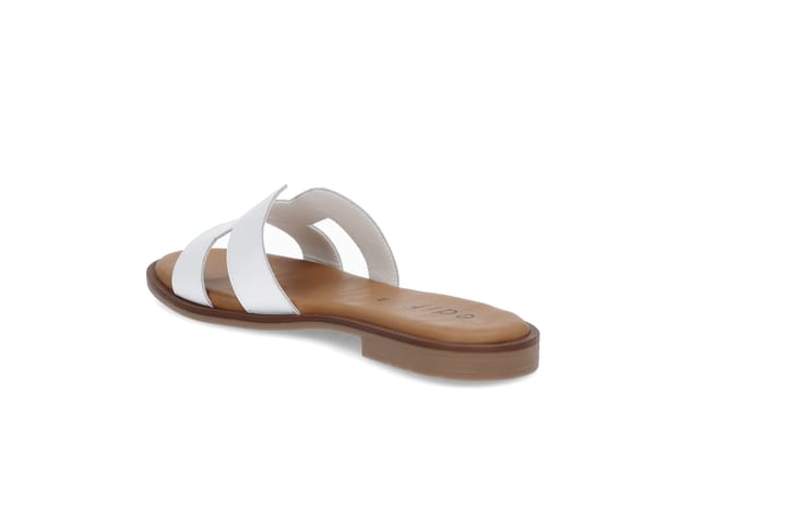 EDIT 1736 WHITE EDIT