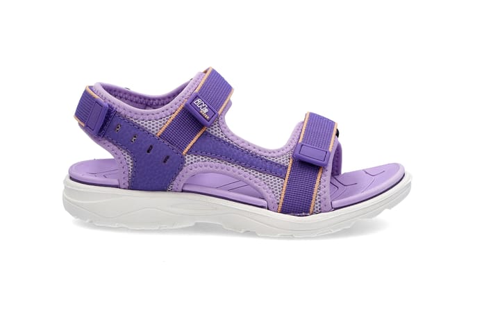 IN2 3404 PURPLE IN2 IN2 3404 PURPLE IN2