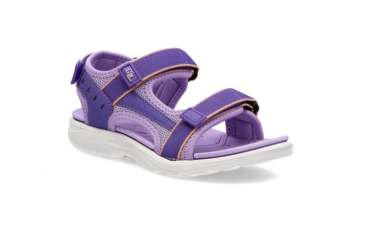 IN2 3404 PURPLE IN2 IN2 3404 PURPLE IN2