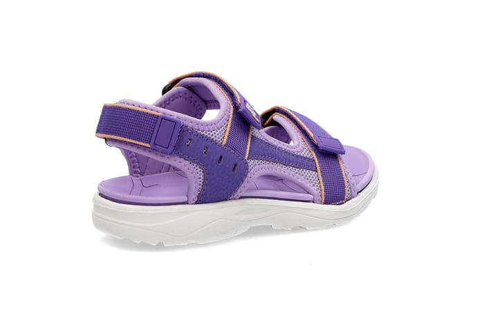 IN2 3404 PURPLE IN2 IN2 3404 PURPLE IN2